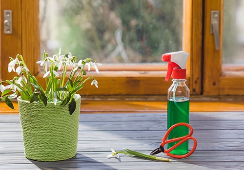 Economical Spring Cleaning Services